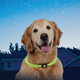 Nite Ize Nite Howl Coleira Led Verde para cães