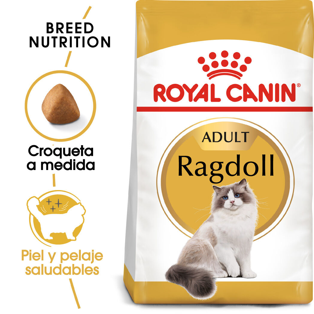 2 kg Royal Canin Adult Ragdoll ra&ccedil;&atilde;o para gatos, , large Imagem n&uacute;mero 2