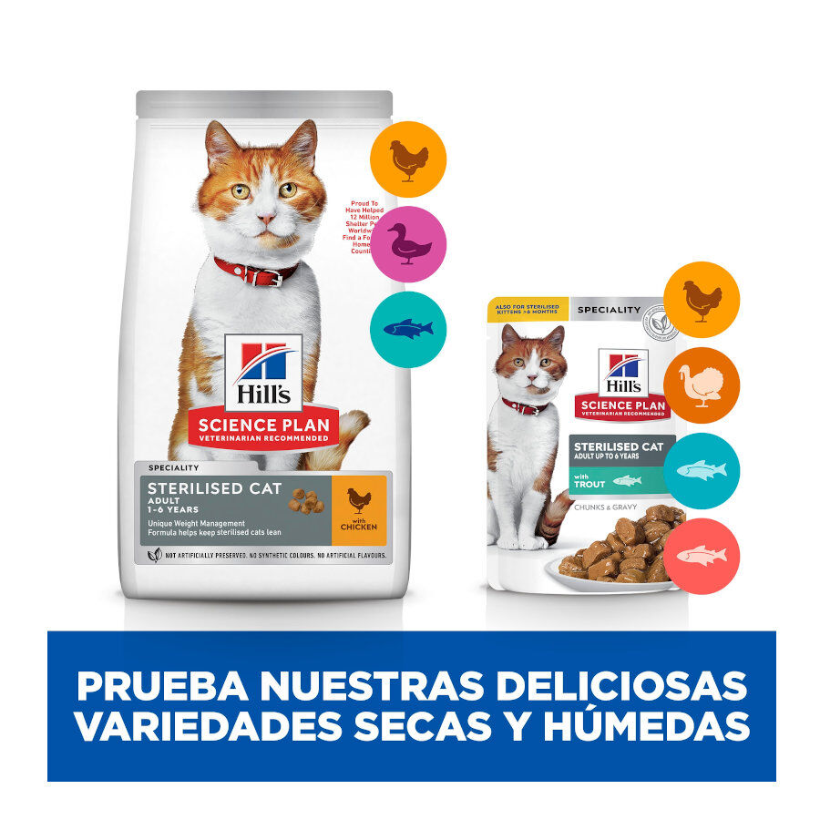 85 g Hill's Young Adult Science Plan Sterilised Truta Saqueta em Molho para gatos, , large Imagem n&uacute;mero 8
