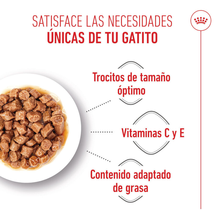 85 g Royal Canin Kitten Sterilised alimento h&uacute;mido em molho saquetas para gatos, , large Imagem n&uacute;mero 4