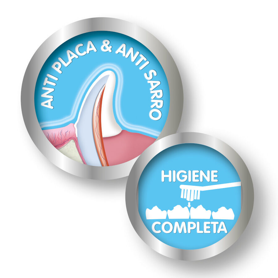 Beaphar Kit de Limpeza Dent&aacute;ria para cachorros , , large Imagem n&uacute;mero 3