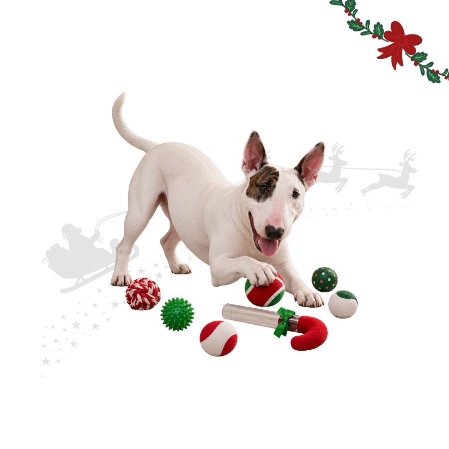 Wonder Christmas Bengala Doce Brinquedo para c&atilde;es, , large Imagem n&uacute;mero 1