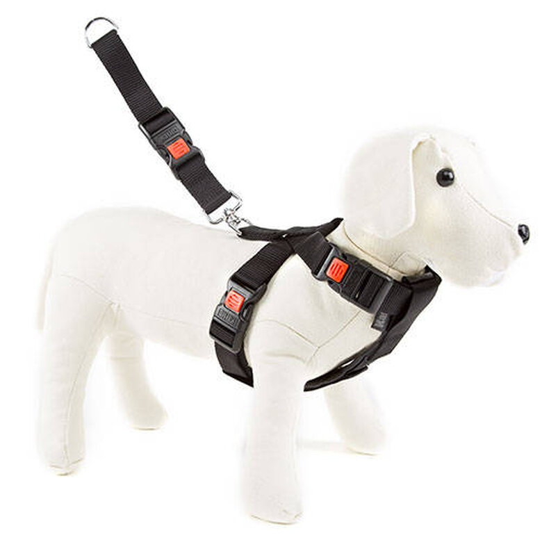 accesorio_perro_flamingo_arnes_coche_FLA7205_M Imagem número 1 Flamingo arnés de seguridad para perros para coche Imagem número 1