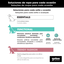 Gotoo Sapatos Vermelhos e Pretos para c&atilde;es, , large Indicador imagem n&uacute;mero 12
