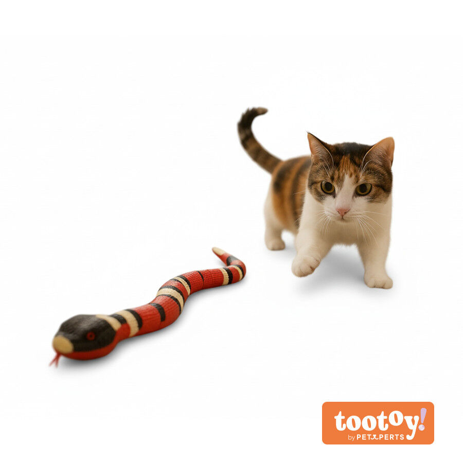 Tootoy! Chase & Play Brinquedo interativo cobra el&eacute;trica para gatos, , large Imagem n&uacute;mero 11