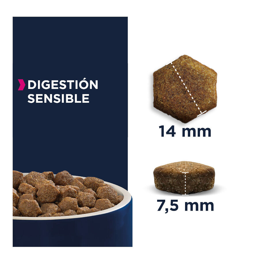 12 kg Eukanuba Sensitive Digestion Aves ra&ccedil;&atilde;o para c&atilde;es, , large Imagem n&uacute;mero 2