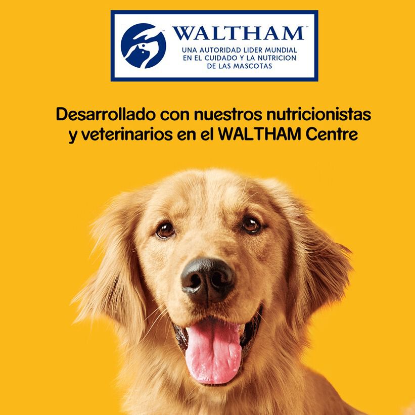 500 g Pedigree Biscoitos Biscrock de 3 Sabores para C&atilde;es, , large Imagem n&uacute;mero 8