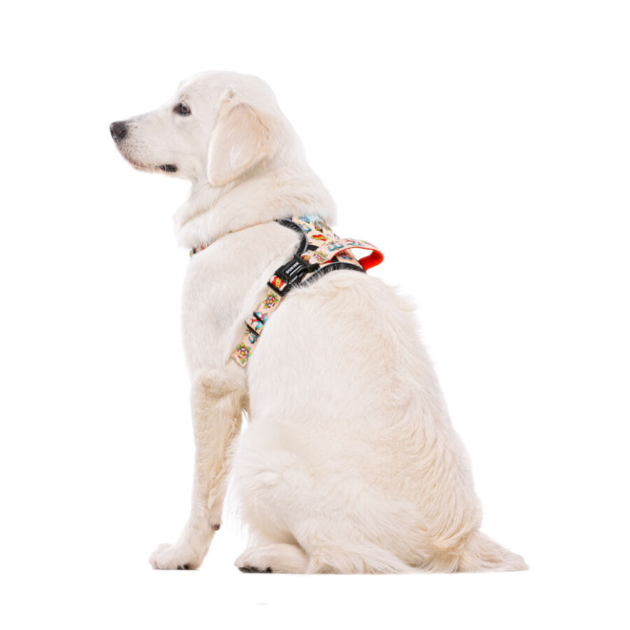 Dukier Tattoo Peitoral Trail para c&atilde;es, , large Imagem n&uacute;mero 4