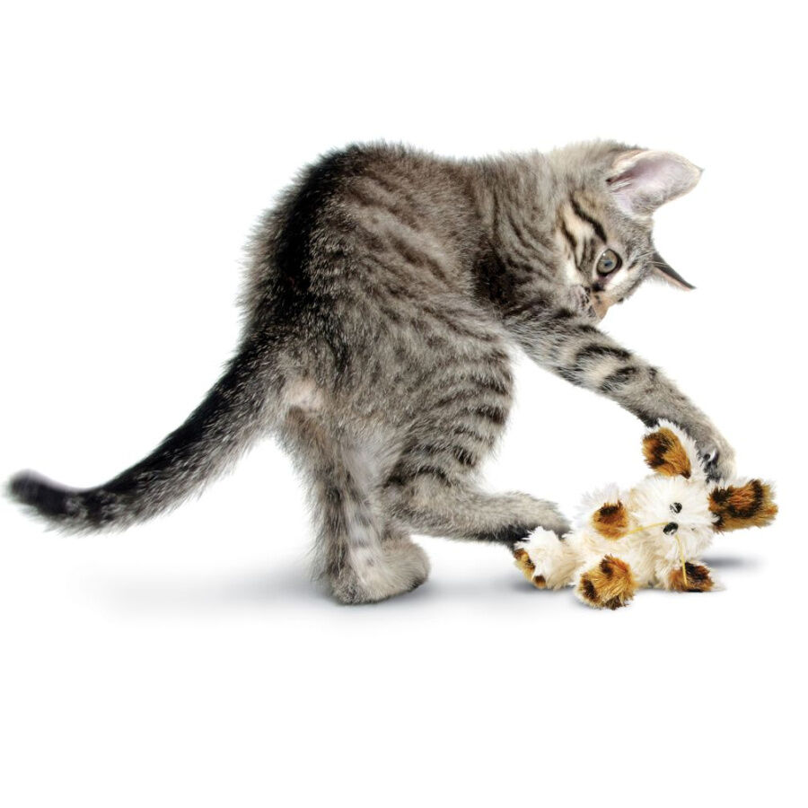 Kong Softies Patchwork Urso de peluche para gatos , , large Imagem n&uacute;mero 2