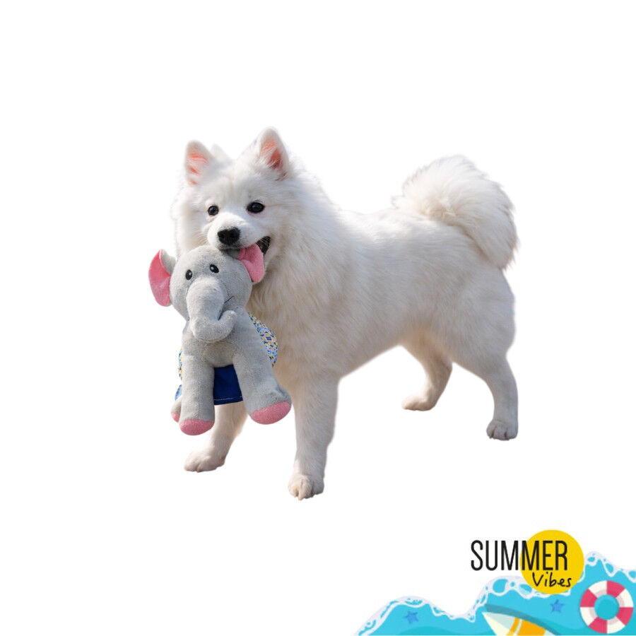 Summer Vibes Dolce Vita Elephant Peluche para c&atilde;es, , large Imagem n&uacute;mero 6