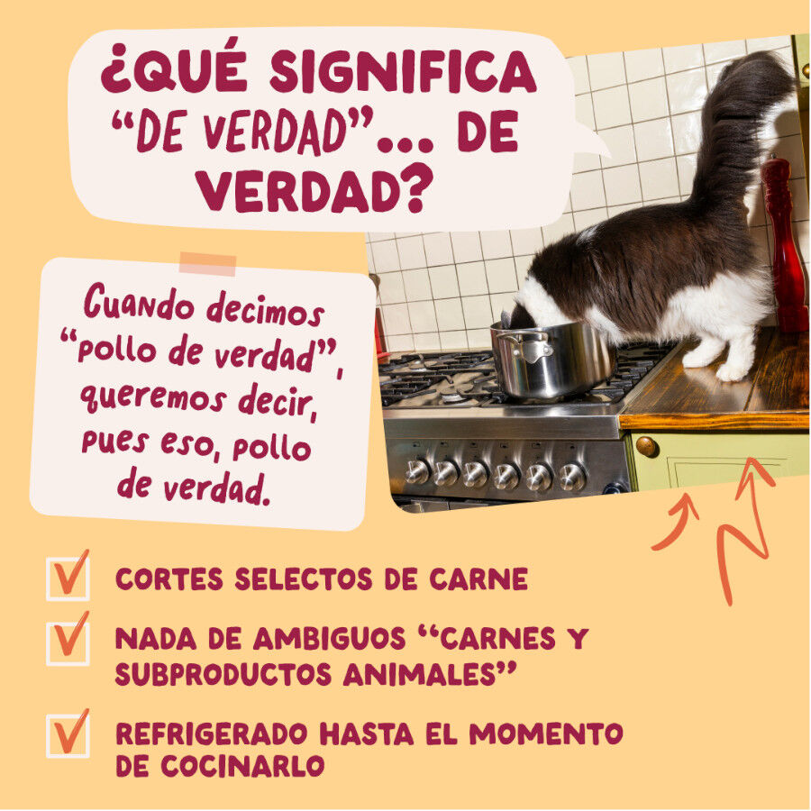 85 g Edgard & Cooper Pollo sobre en salsa para gatos, , large Imagem n&uacute;mero 5