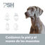 PSH Atopic Skin Espuma de Limpeza para cães e gatos, , large Indicador imagem número 2