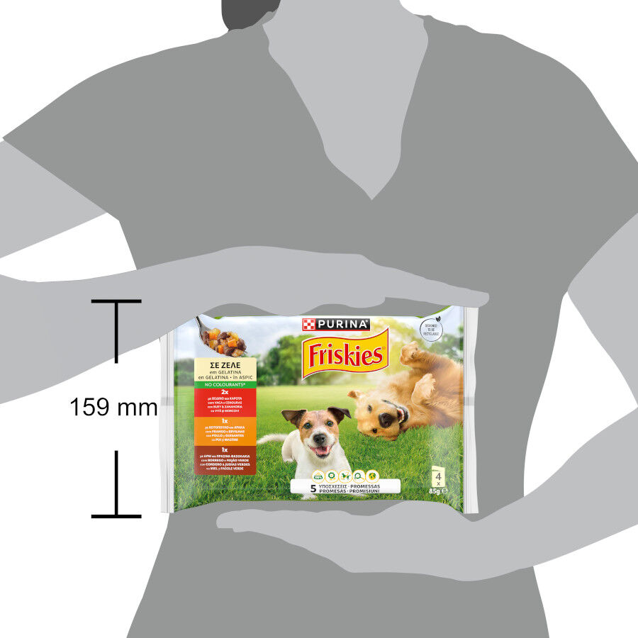12 saquetas x 85 g Friskies Frango e Borrego Alimento H&uacute;mido para c&atilde;es, , large Imagem n&uacute;mero 2
