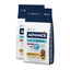 2 x 12 kg Advance Active Defense Sensitive Borrego e Arroz ração para cães Pack poupança!, , large Indicador imagem número 1