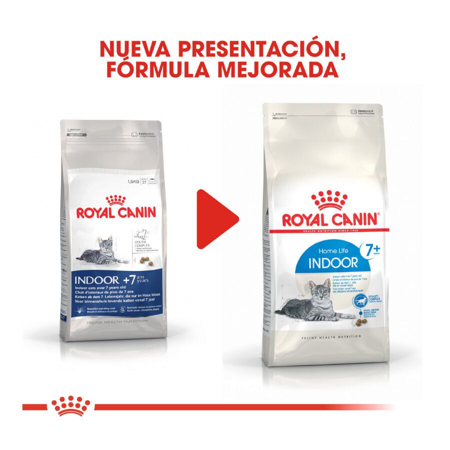 3.5 kg Royal Canin Home Life Indoor 7+ ra&ccedil;&atilde;o para gatos, , large Imagem n&uacute;mero 3