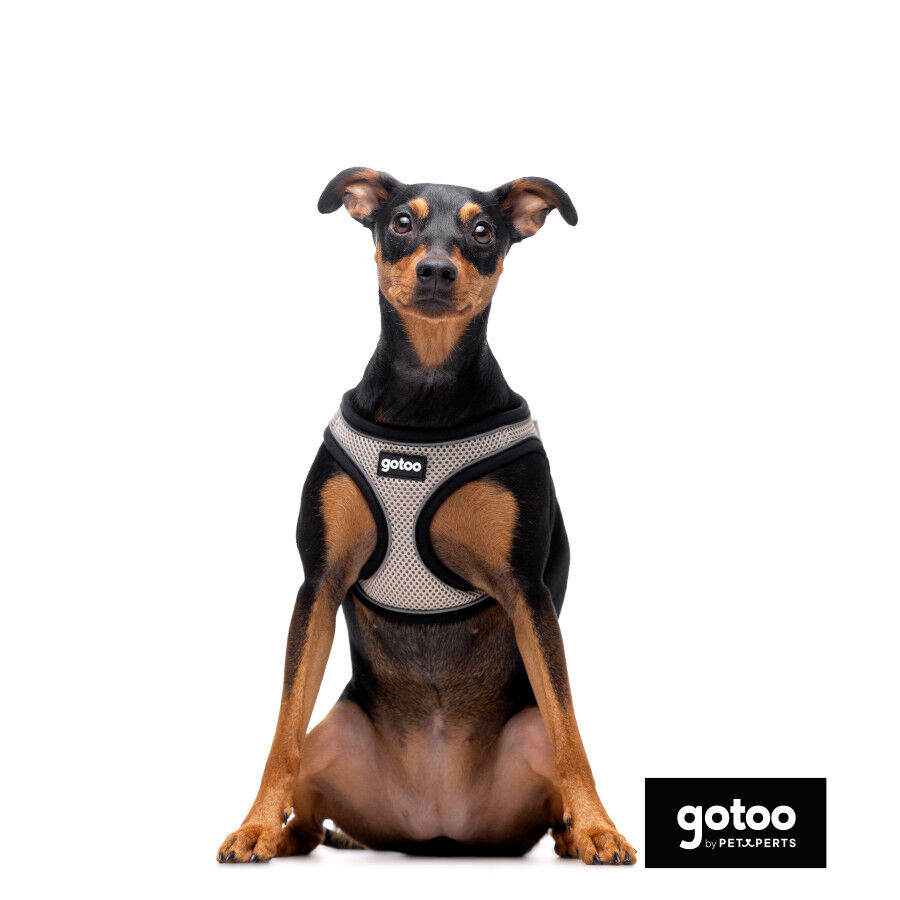 Gotoo Peitoral mesh cinza para c&atilde;es, , large Imagem n&uacute;mero 3