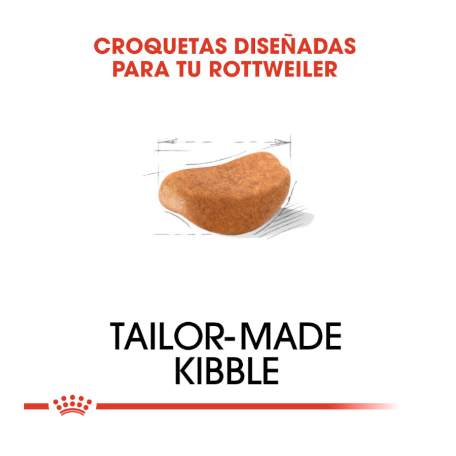 12 kg Royal Canin Adult Rottweiler ra&ccedil;&atilde;o para c&atilde;es, , large Imagem n&uacute;mero 5