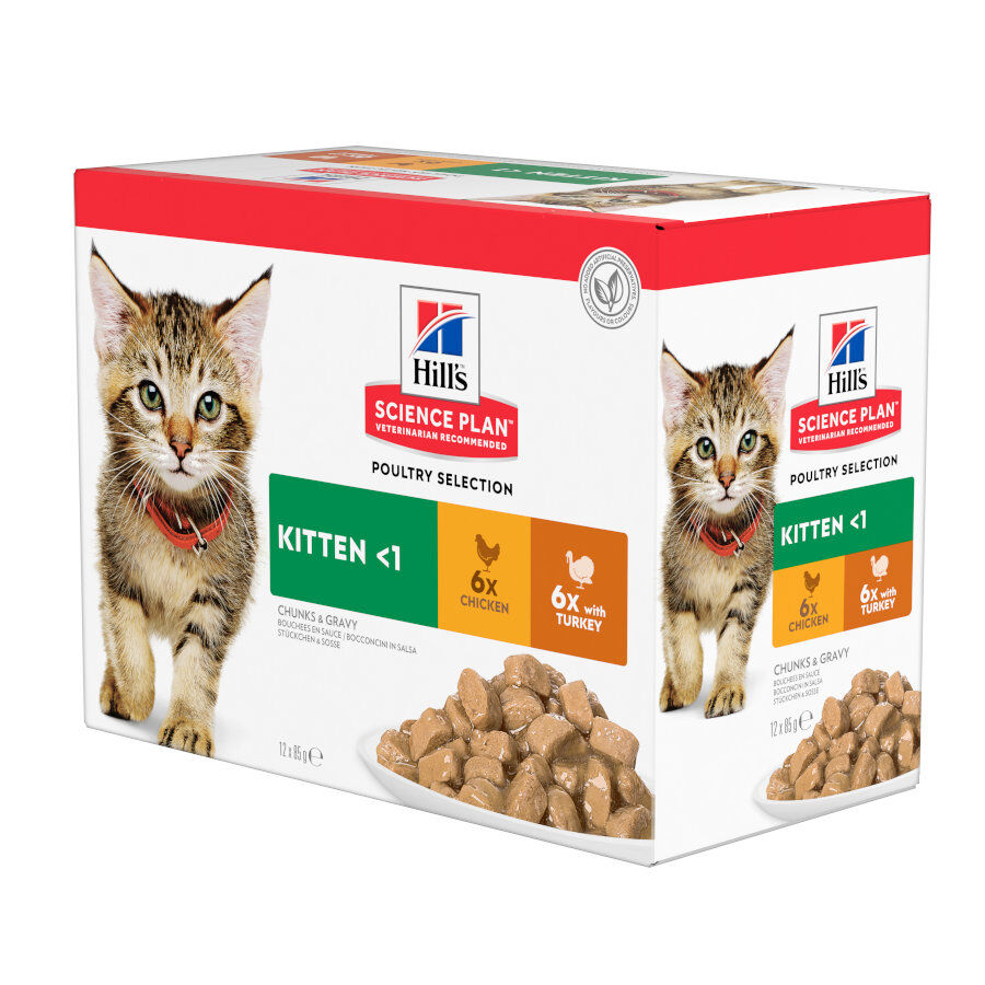 12 saquetas x 85 g Hill's Science Plan Kitten Frango e Peru em Molho Sach&ecirc; para Gatos, , large Imagem n&uacute;mero 1