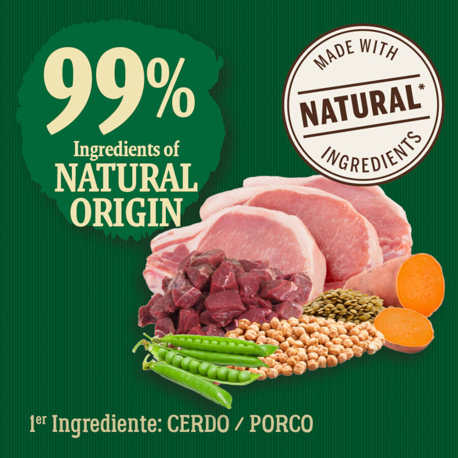 True Origins Wild Maxi Farm ra&ccedil;&atilde;o de porco para c&atilde;es, , large Imagem n&uacute;mero 3