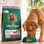 12 kg Criadores Grain Free Peru ra&ccedil;&atilde;o c&atilde;es ra&ccedil;as m&eacute;dias e grandes, , large Indicador imagem n&uacute;mero 7
