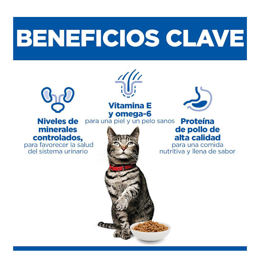 1.5 kg Hill's Urinary Frango ra&ccedil;&atilde;o para gatos , , large Imagem n&uacute;mero 3