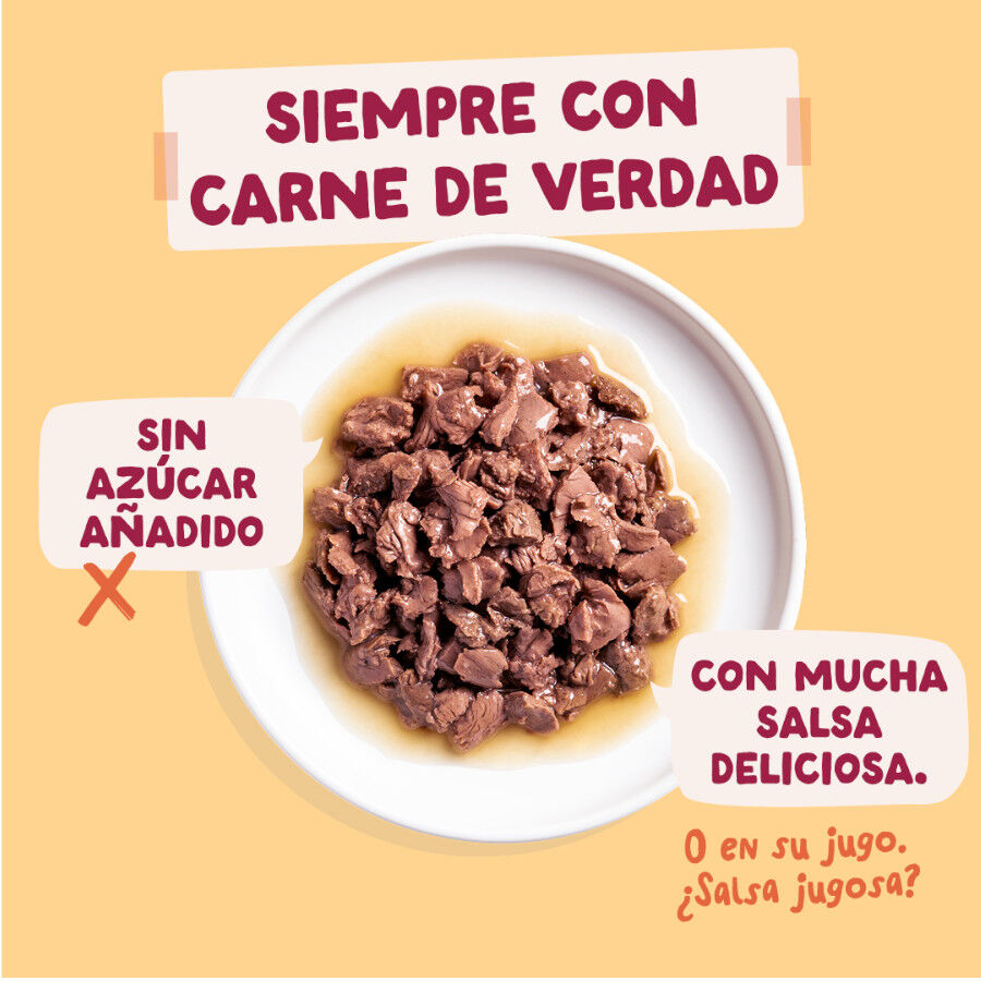 12 x 85 g Edgard & Cooper Feasts from the farm em molho em saqueta para gatos, , large Imagem n&uacute;mero 3