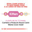10 kg Royal Canin Kitten Maine Coon ração para gatinhos, , large Indicador imagem número 6