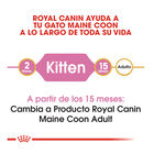 Royal Canin Kitten Maine Coon ração para gatos, , large image number null