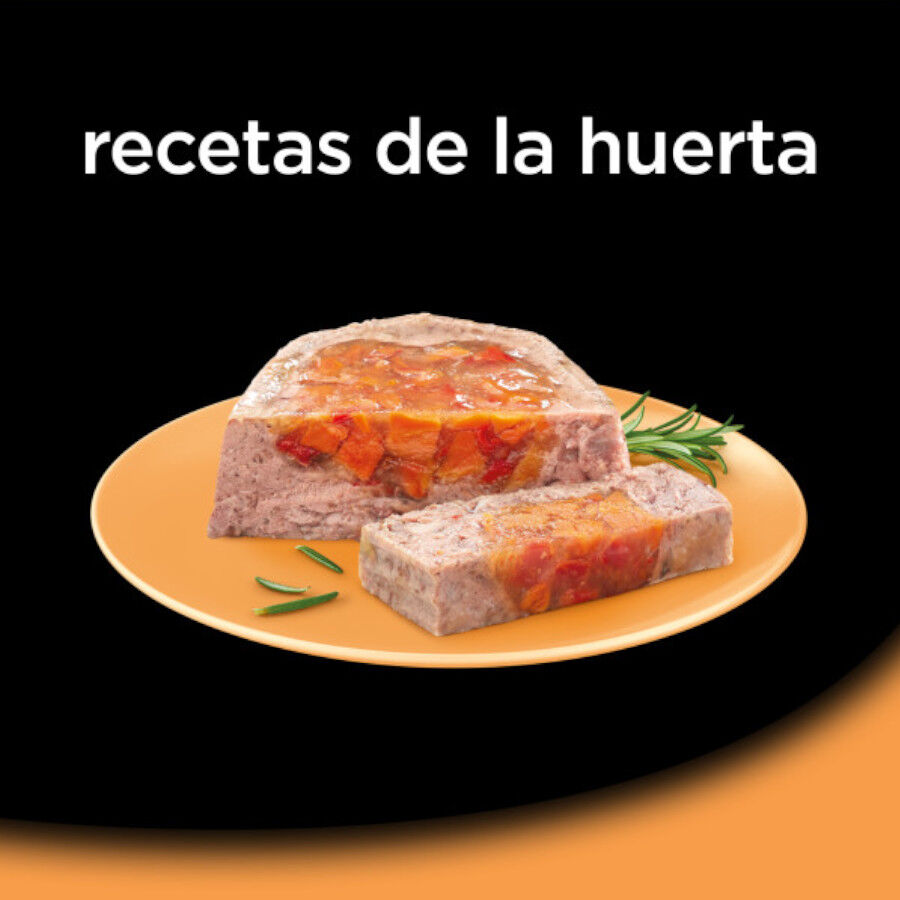 8 terrinas x 150 g Cesar Recetas da horta Terrina em Pat&ecirc; e Geleia para C&atilde;es - Multipack, , large Imagem n&uacute;mero 4