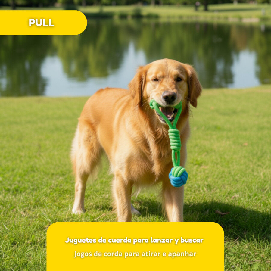 Tootoy! Pull Bola de puxar com corda para c&atilde;es, , large Imagem n&uacute;mero 5
