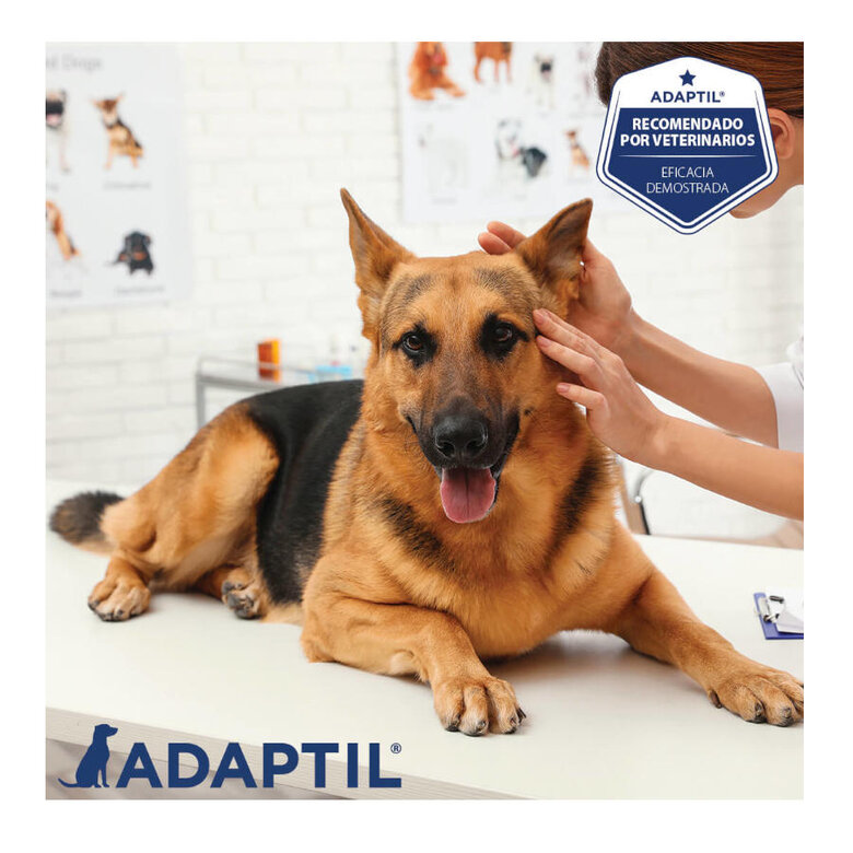 Adaptil Spray apaziguante para cães, , large image number null