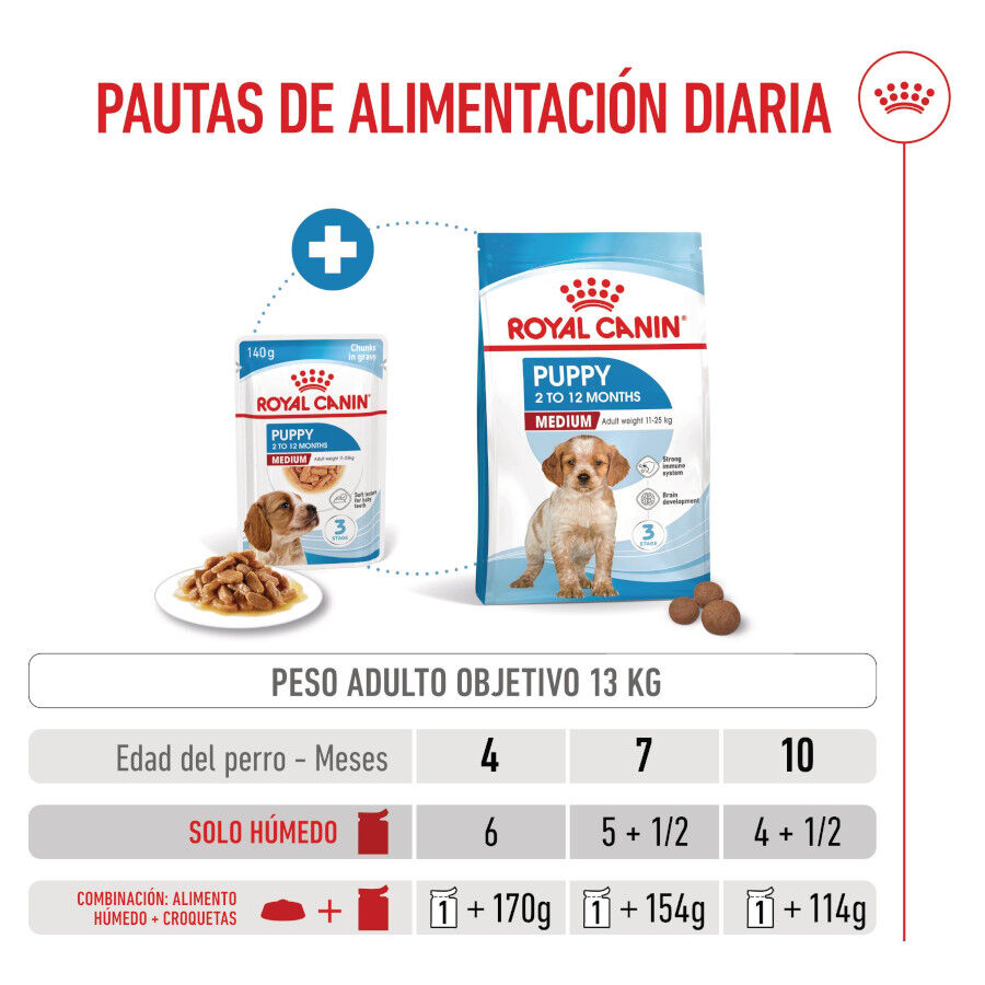 140 g Royal Canin Medium Puppy saquetas para c&atilde;es, , large Imagem n&uacute;mero 6