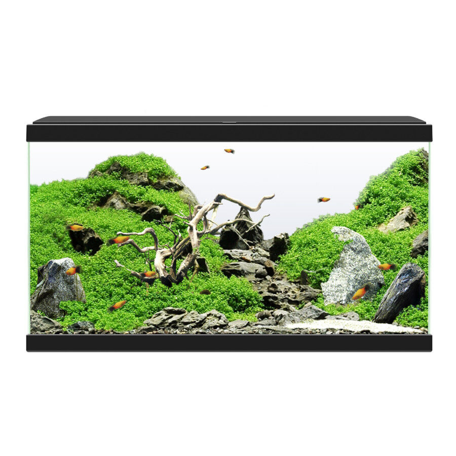 Ciano Aqua Led 60 Aqu&aacute;rio Preto com Luz led, filtro e aquecedor, , large Imagem n&uacute;mero 2