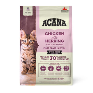 Acana First Feast Frango ração para gatinhos