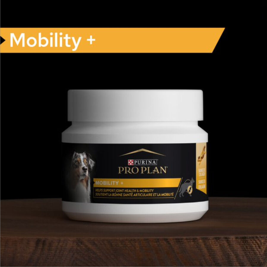 60 g Pro Plan Mobility+ Suplemento para c&atilde;es, , large Imagem n&uacute;mero 2
