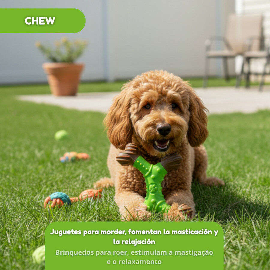 Tootoy! Chew Osso dental de bamboo sabor ma&ccedil;&atilde; para c&atilde;es, , large Imagem n&uacute;mero 5