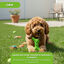 Tootoy! Chew Osso dental de bamboo sabor ma&ccedil;&atilde; para c&atilde;es, , large Indicador imagem n&uacute;mero 5