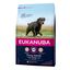 Eukanuba Senior Large Frango ração para cães, , large Indicador imagem número 1
