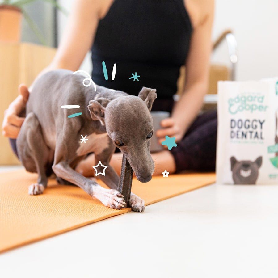 7 sticks Edgard y Cooper Snacks dent&aacute;rios Adult Medium menta e morango para c&atilde;es, , large Imagem n&uacute;mero 2