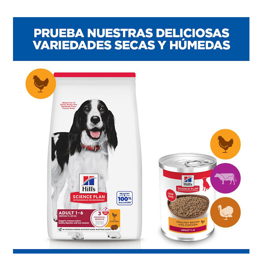 48 latas x 370 g Hill's Science Plan Adult 1-6 Frango, peru e carne de vaca em lata para c&atilde;es Pack poupan&ccedil;a!, , large Imagem n&uacute;mero 9