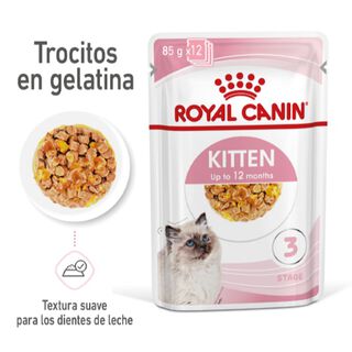 Royal Canin Kitten alimento húmido em gelatina saquetas para gatinhos
