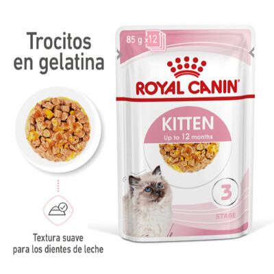 Royal Canin Kitten geleia sobre para gatos 