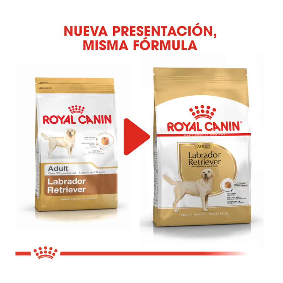 12 kg Royal Canin Adult Labrador Retriever ra&ccedil;&atilde;o para c&atilde;es, , large Imagem n&uacute;mero 3