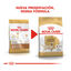 2 x 12 kg Royal Canin Adult Labrador Retriever ração para cães Pack poupança!, , large Indicador imagem número 3