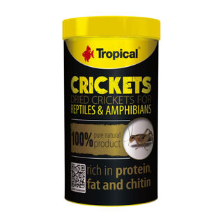 Comida para répteis de grilos tropicais