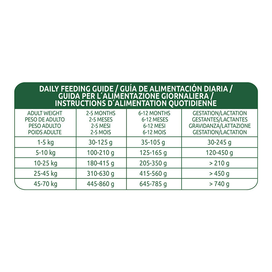 3 kg Affinity Libra Puppy Ra&ccedil;&atilde;o de cordeiro e arroz para c&atilde;es, , large Imagem n&uacute;mero 7