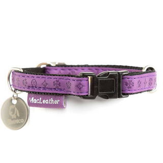 MacLeather Classic Coleira Lilás para cães