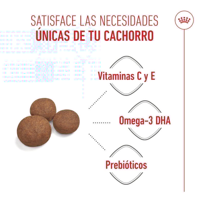 15 kg Royal Canin Puppy Medium ração para cães,  Imagem número 4 15 kg Royal Canin Puppy Medium ração para cães, , large Imagem número 4