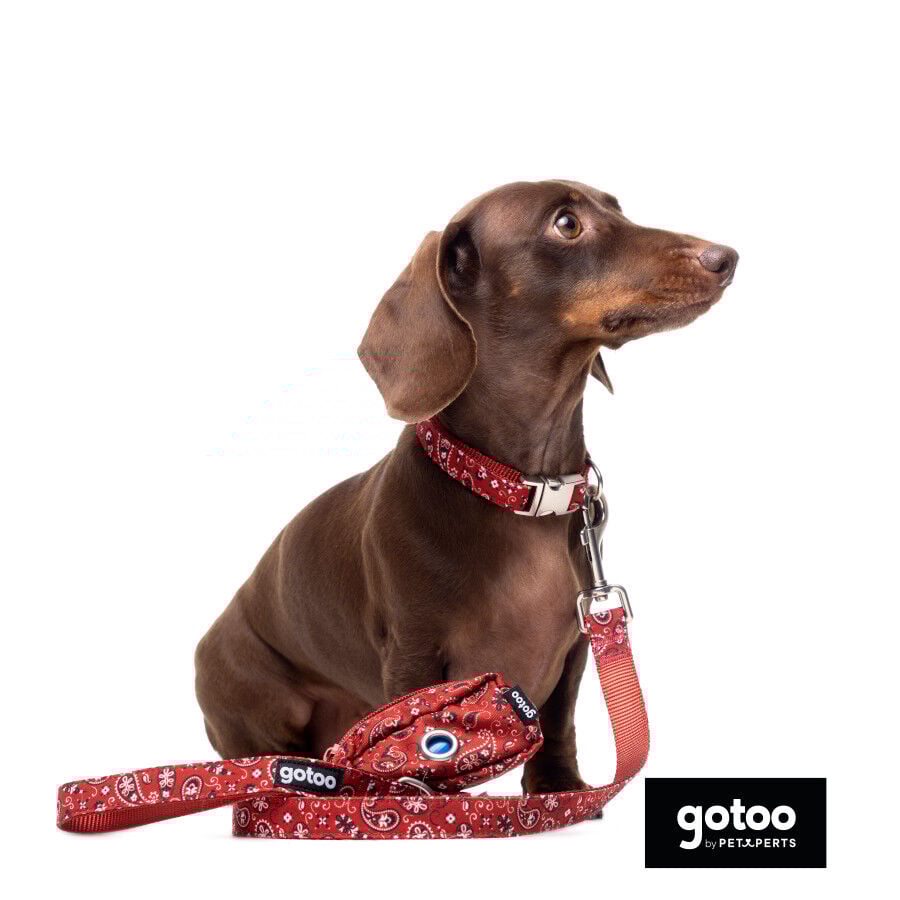 Gotoo Trela estampada de caxemira vermelha para c&atilde;o, , large Imagem n&uacute;mero 6