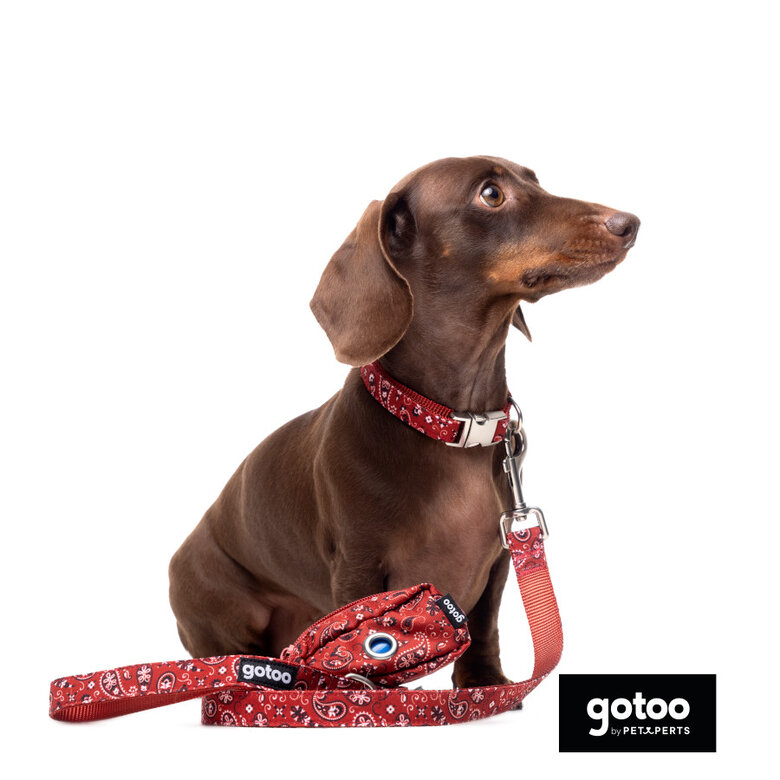 Gotoo Trela estampada de caxemira vermelha para cão,  Imagem número 6 Gotoo Trela estampada de caxemira vermelha para cão, , large Imagem número 6